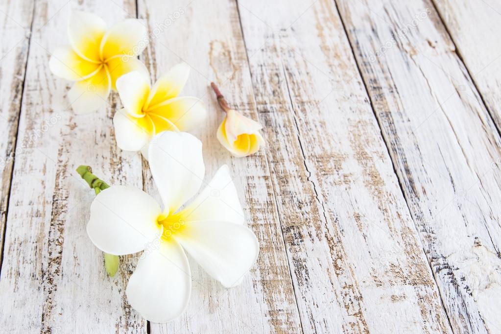 plumeria flowers on a wooden background