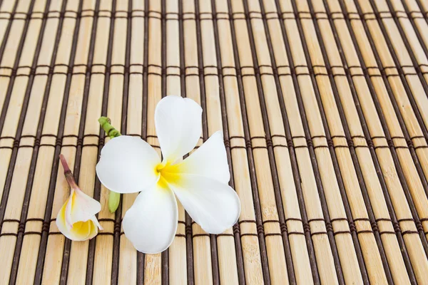 Tropikal plumeria bambu hasır spa ve sağlıklı yaşam konsepti için üzerinde — Stok fotoğraf