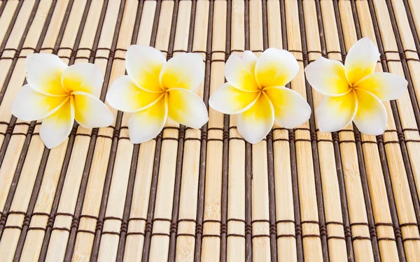 Tropikal plumeria bambu hasır spa ve sağlıklı yaşam konsepti için üzerinde — Stok fotoğraf