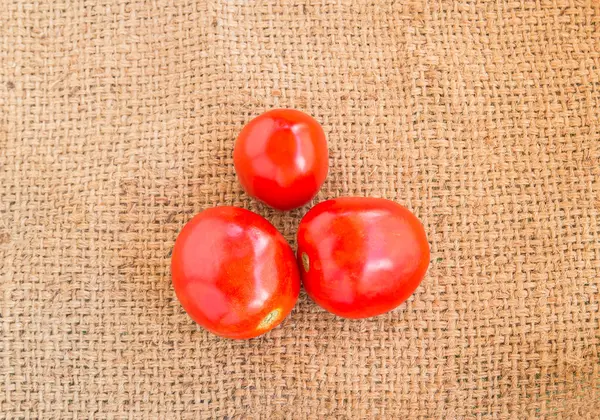 Close up Fresh red tomato on grunged sack background — Stock Photo, Image