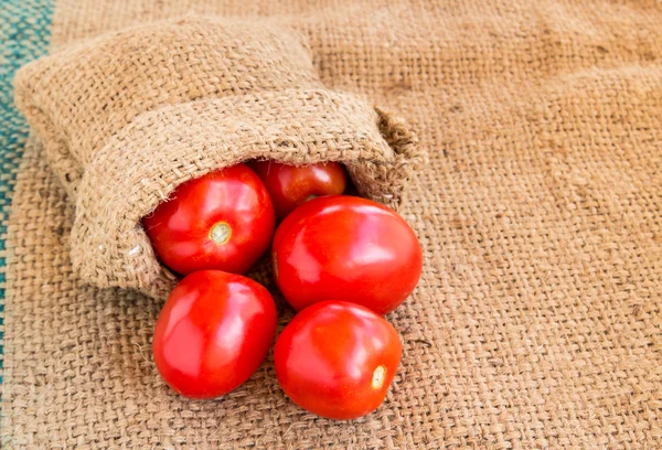 Close up Fresh red tomato on grunged sack background — Stock Photo, Image