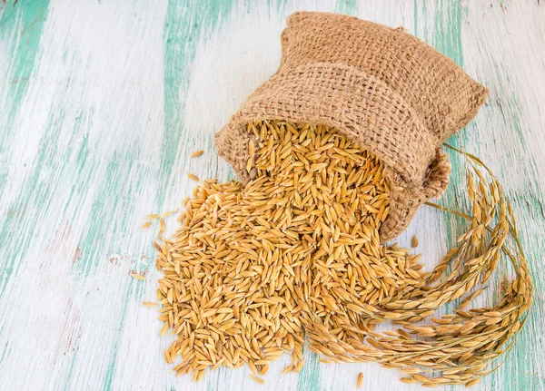 Падди рисовые семена в мешке Бурлапа . — стоковое фото