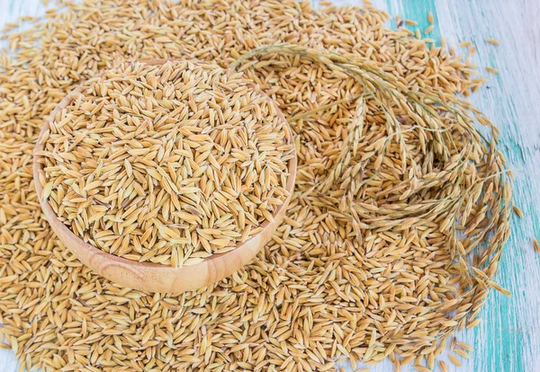 Graines de riz paddy dans un bol en bois — Photo