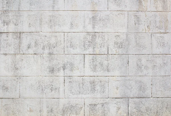 Grunge brick wall background — Stock Photo, Image