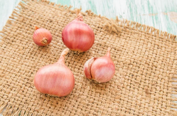 Fresh organic red onion on burlap sack — Stok fotoğraf