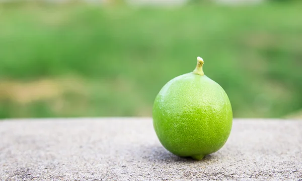 바닥에 신선한 녹색 레몬 — 스톡 사진