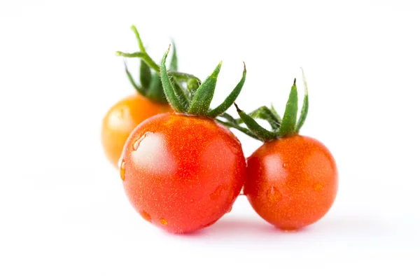 Tomatoes on a white background — Stock Photo, Image