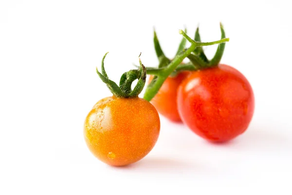 Tomatoes on a white background — Stock Photo, Image