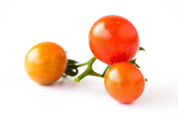 Red tomatos  on a white background — Stock Photo, Image