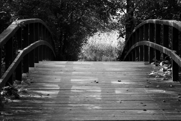 Küçük, romantik, ahşap bir köprünün üzerinde siyah beyaz bir nehir.