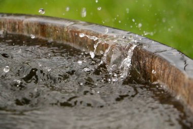 Yağmur, bahçedeki su dolu bir varile düşüyor.