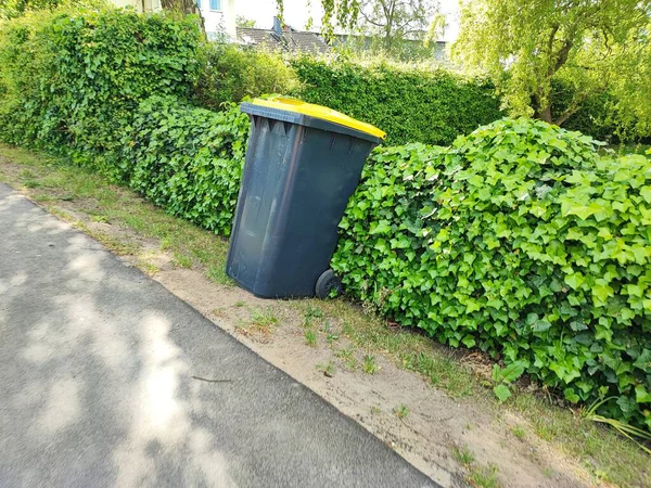 Sarı kapaklı siyah bir çöp tenekesi kaldırımdaki çitin yanında toplanmaya hazır bir şekilde duruyor.