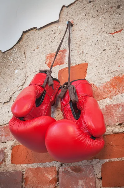 Guantes de boxeo en un clavo — Foto de Stock