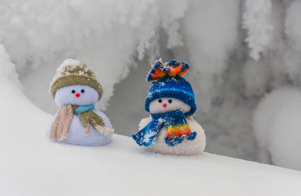 two funny snowmans