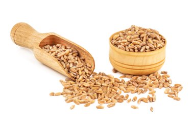 Olgun buğday yığını