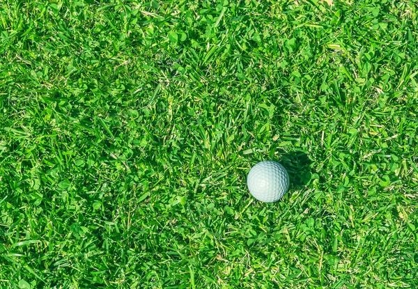 Bola de golfe na grama — Fotografia de Stock