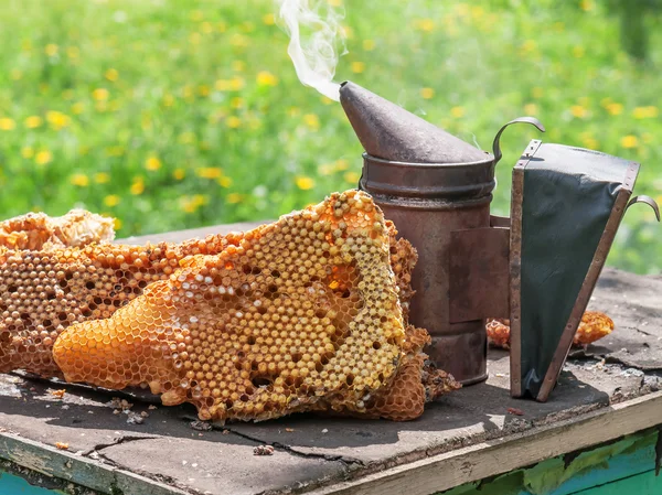 Eski arı sigara içen — Stok fotoğraf