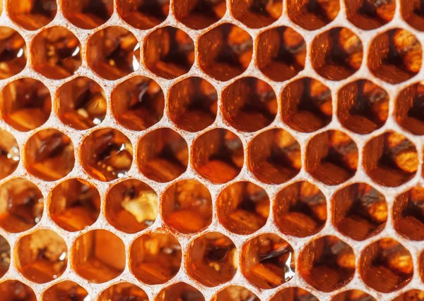 Konsistens av honeycomb — Stockfoto