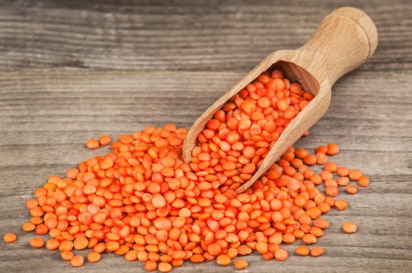 Heap of red lentils — Stock Photo, Image