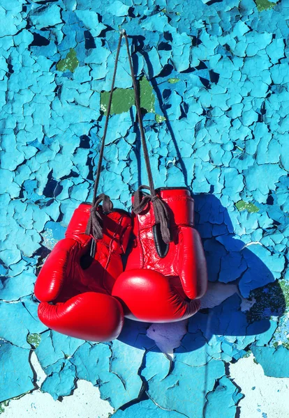 Par de guantes de boxeo —  Fotos de Stock