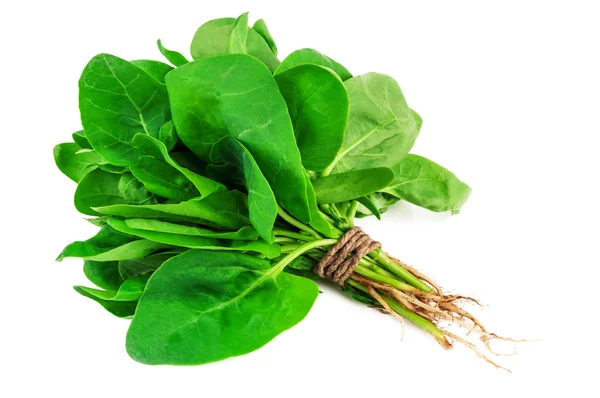 Un mucchio di spinaci verdi — Foto Stock