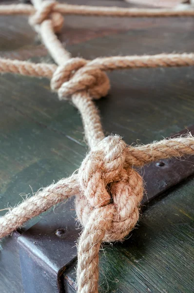 Real marine knots — Stock Photo, Image