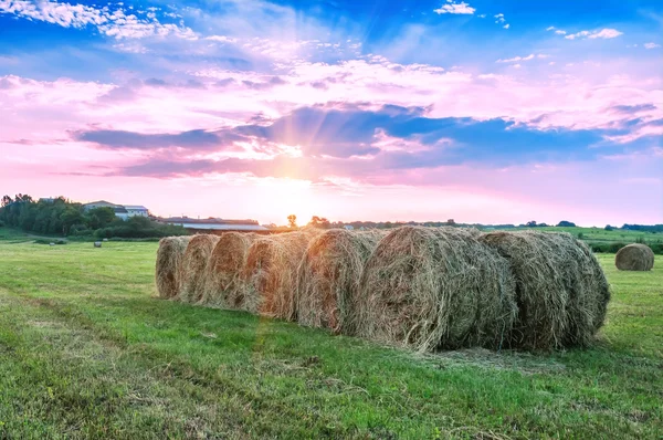 Balen hooi — Stockfoto