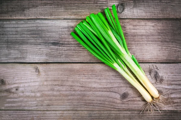 หัวหอมสีเขียว — ภาพถ่ายสต็อก