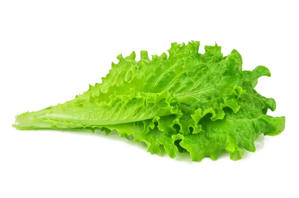 Friskt grön sallad — Stockfoto