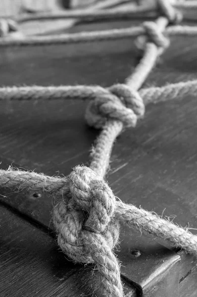 Real marine knots — Stock Photo, Image