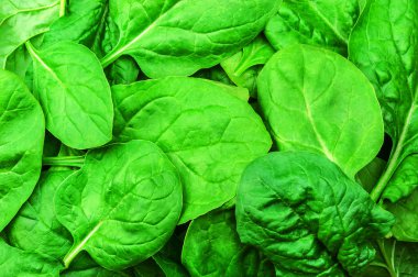 doku ıspanak yaprakları