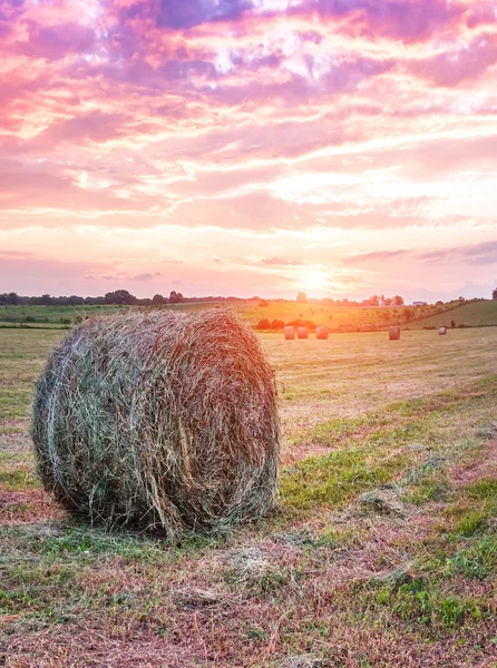 Bale av hö — Stockfoto