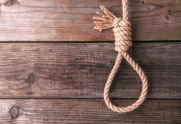 Rope knotted in noose — Stock Photo, Image
