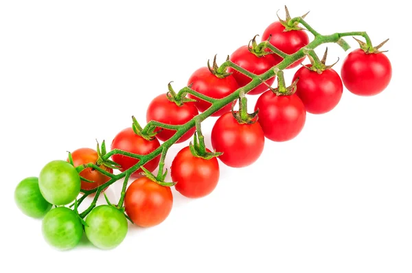 Cherry tomatoes twig — Stock Photo, Image