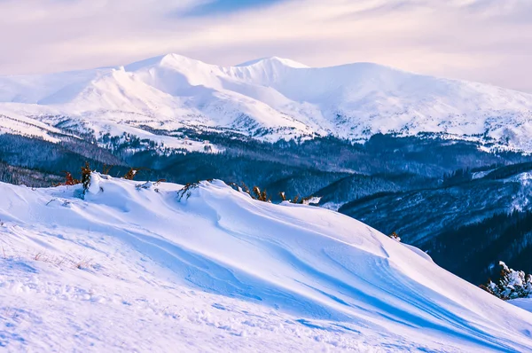 Vinter snö drift — Stockfoto