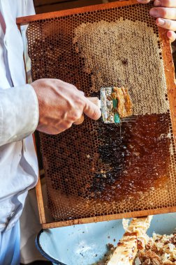 Arıcı özel bir araçla bal peteğini aç