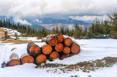 stack of cut tree on the snow in winter mountains clipart