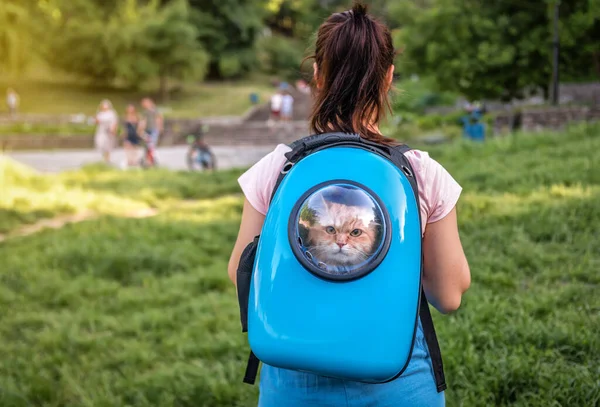 woman walking with a cat in special blue animal backpack