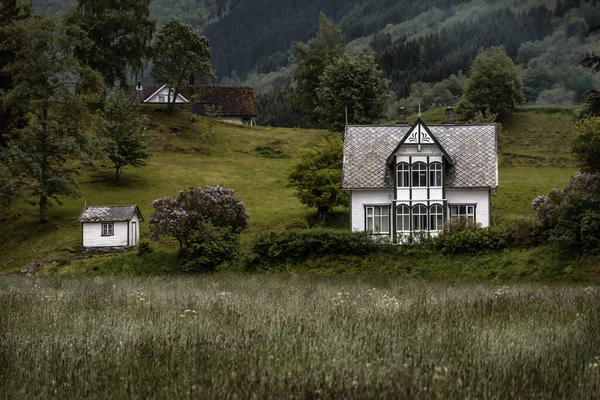 Vieja Casa Abandonada Madera Blanca Sobre Hierba Verde — Foto de Stock
