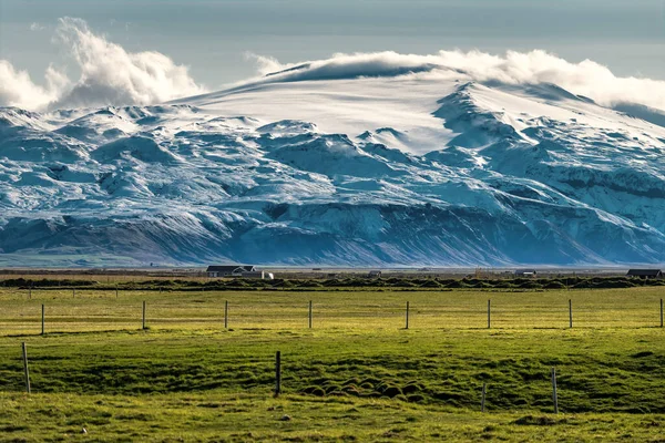 Grande Geleira Islandesa Paisagem Grama Verde — Fotografia de Stock