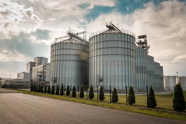 Moderne Landbouwsilo Exterieur Gebouw Opslag Drogen Van Granen Tarwe Maïs — Stockfoto