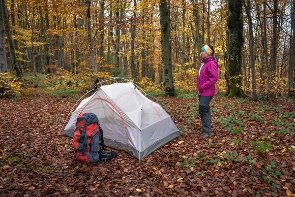 Touristin Steht Neben Dem Zelt Herbstwald — Stockfoto