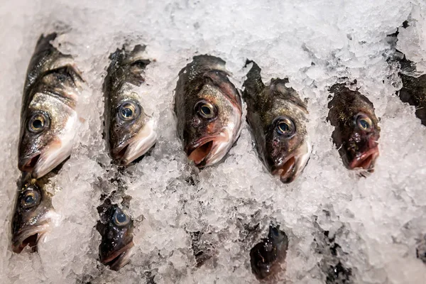 Peixe Gelado Gelo Supermercado Alimentos Bebidas — Fotografia de Stock