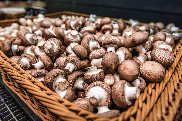 Kultivované Hnědé Běžné Houby Supermarketu — Stock fotografie