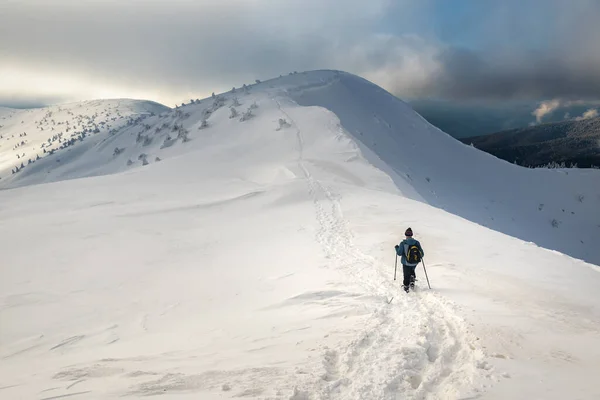 Tourist Backpack Hiking Winter Carpathian Mountains — 图库照片