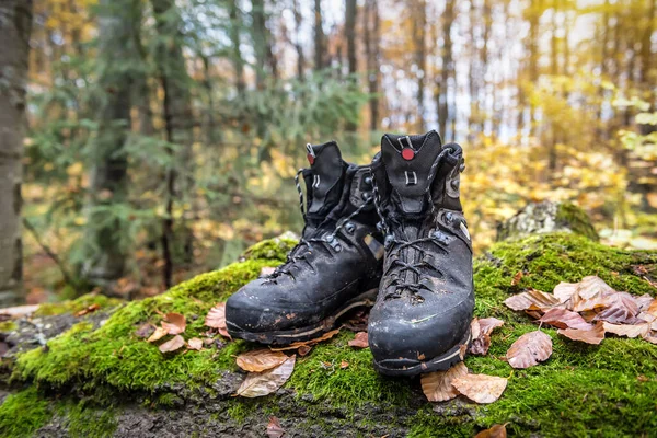 used hiking boots on tje green moss in the forest