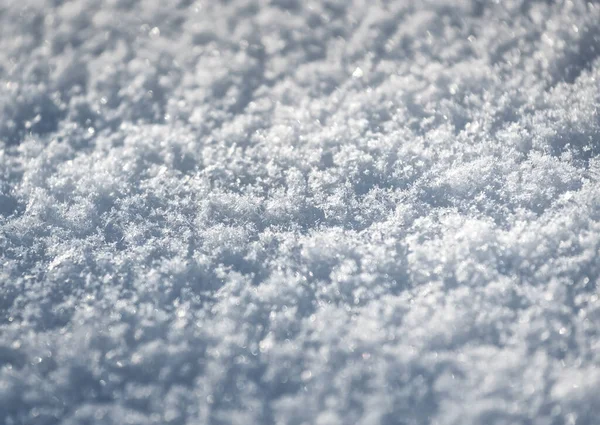 Echte Wintersneeuw Als Textuur — Stockfoto