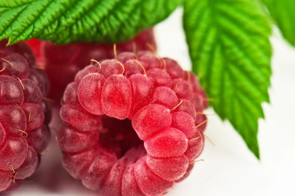 Sweet and juicy raspberry — Stock Photo, Image