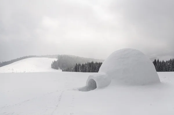 Kar Eskimo — Stok fotoğraf
