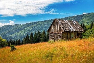 Yazın terk edilmiş ahşap kulübe Karpatya dağlarında